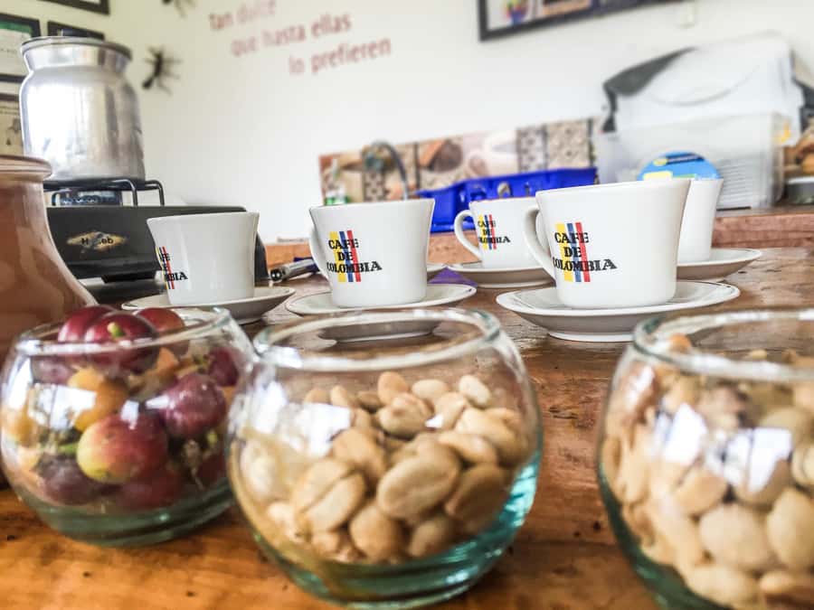 Coffee Farm Tour at Finca El Ocaso from Salento - Key Things You’ll Enjoy on This Coffee Farm Visit