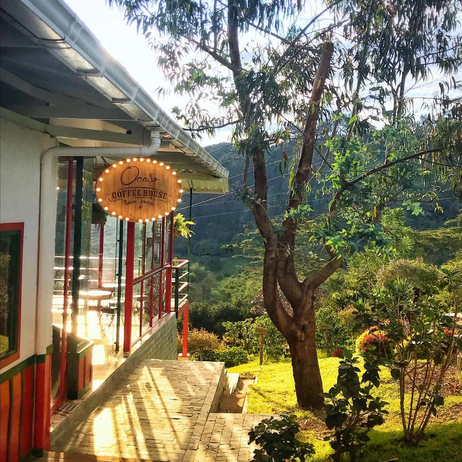 Coffee Farm Tour at Finca El Ocaso from Salento - The Harvest, Roasting, and Grinding Lesson That Explains the Cup