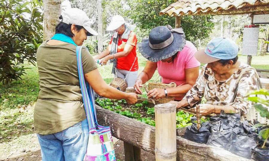 Coffee Farm Tour at Finca El Ocaso from Salento - Price and Value: Is $93 Worth It?