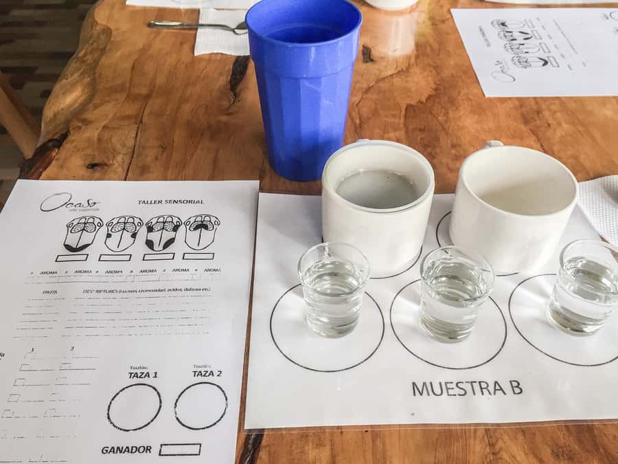 Coffee Farm Tour at Finca El Ocaso from Salento - What You Should Bring (And Why Comfort Matters)