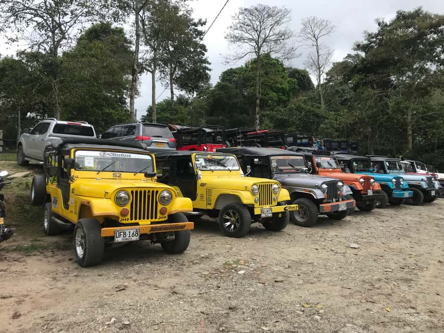 Coffee Farm Tour at Finca El Ocaso from Salento - Should You Book This Coffee Farm Tour From Salento?
