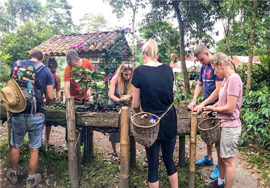 Coffee Farm Tour at Finca El Ocaso from Salento - Why a Tolima Coffee Farm Tour Feels Like More Than Coffee