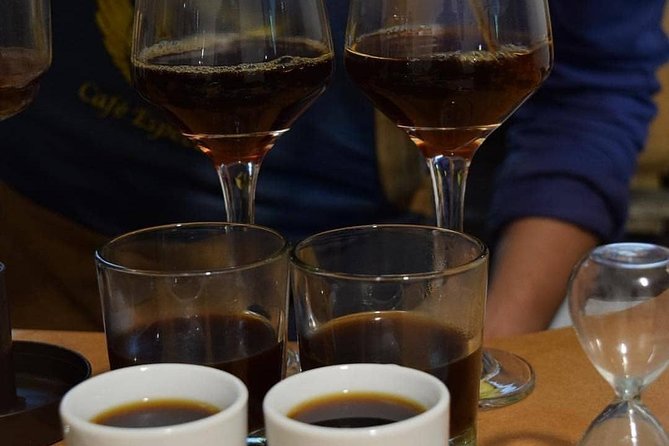 Coffee tasting experience at Divino Café Especial - Getting Oriented at DV Café Especial, and What the Group Size Means