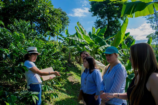 Coffee Tour. - Key Highlights Worth Putting On Your Shortlist