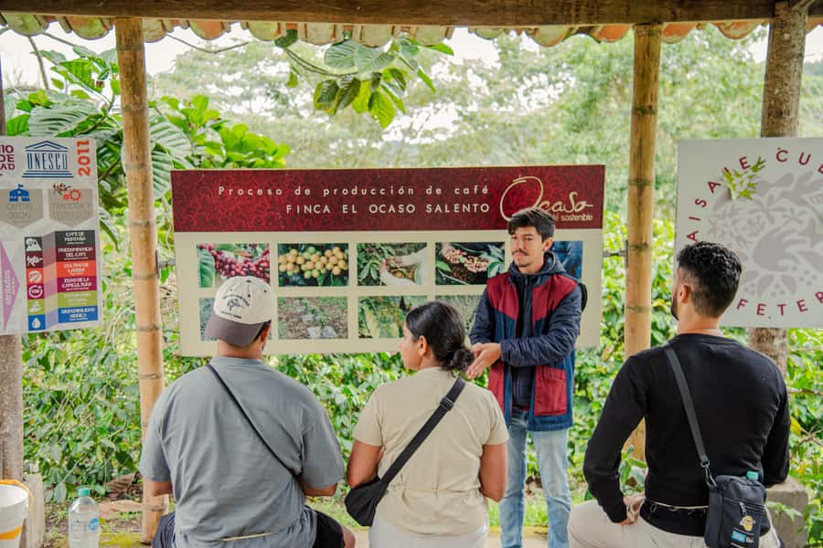 Coffee Tour at Finca El Ocaso Salento: Traditional Spanish Farm - Roasting Types and How They Affect Quality