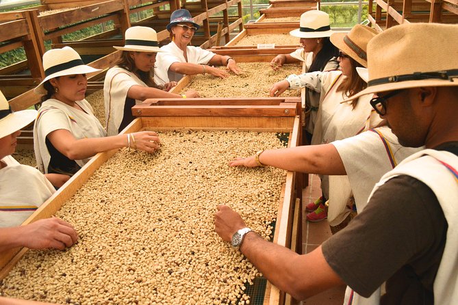 Coffee Tour at the Finca del Café - Coffee Culture Near Pereira, With UNESCO Roots