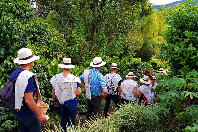 Coffee Tour at the Finca del Café - Walking Through a Working Farm (Yes, Wear the Right Stuff)