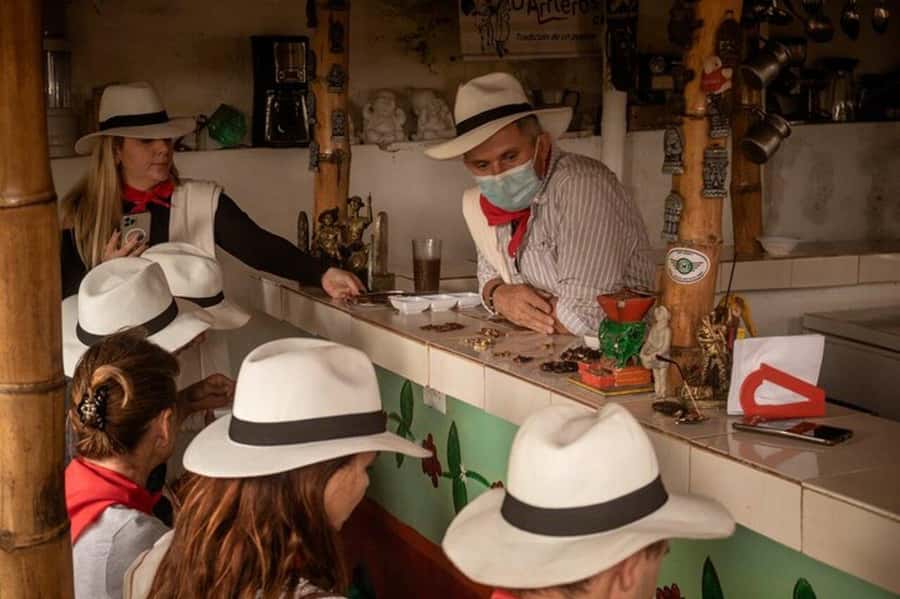 Coffee Tour from Medellin with Lunch and Coffee Tasting - The steep path to the coffee plants: the detail that changes everything