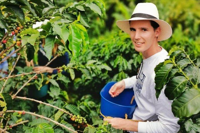 Coffee Tour in the Beautiful Jardin Town: Adventure in the Andes - From Farm to Cup: What You Learn About the Coffee Steps