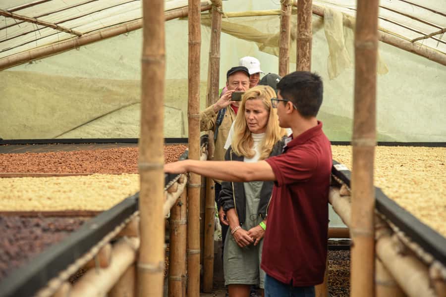 Coffee Tour Salento-Ocaso Farm- English Tour - Inside the processing plant: from hopper to drying