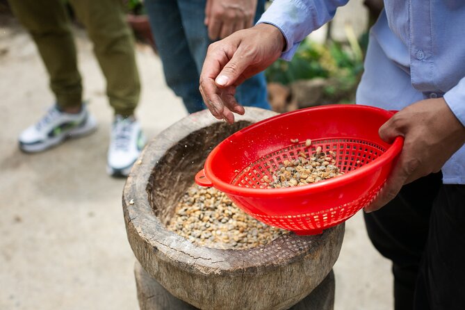 Coffee Tour with arrival on horseback and sugar cane processing - Palmitas farm time: history, coffee process, and picking beans
