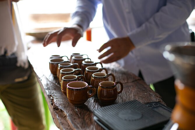 Coffee Tour with arrival on horseback and sugar cane processing - The sugar cane piece: a wider farm story than just coffee