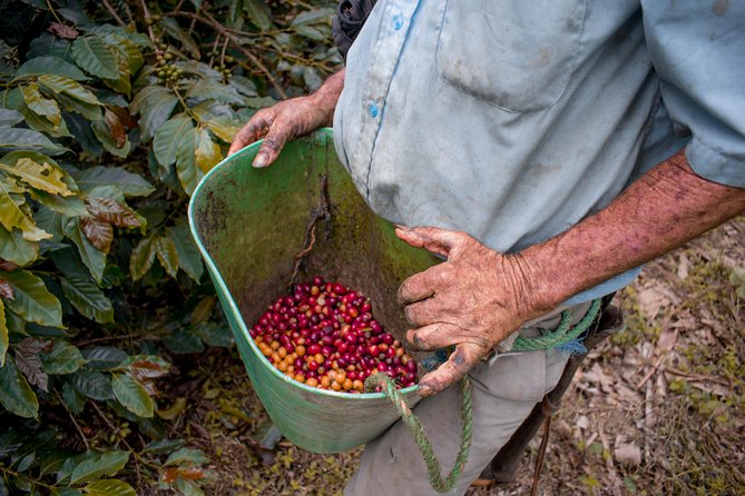 Coffee Tour. - Arriving at Recua Café Tour and Getting Oriented