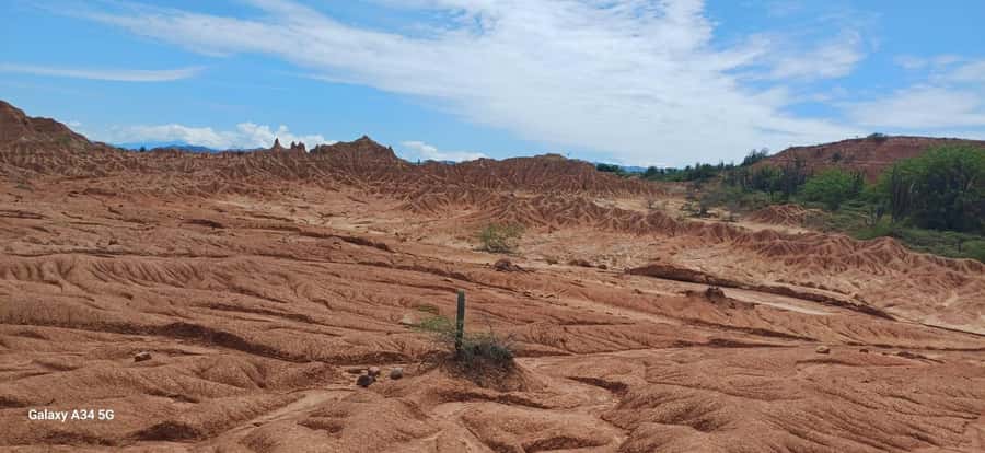 Community and Biodiversity Tour of the Tatacoa Neiva Desert - Astronomical Observatory Astrosur: sunset guidance you can’t get from a screen