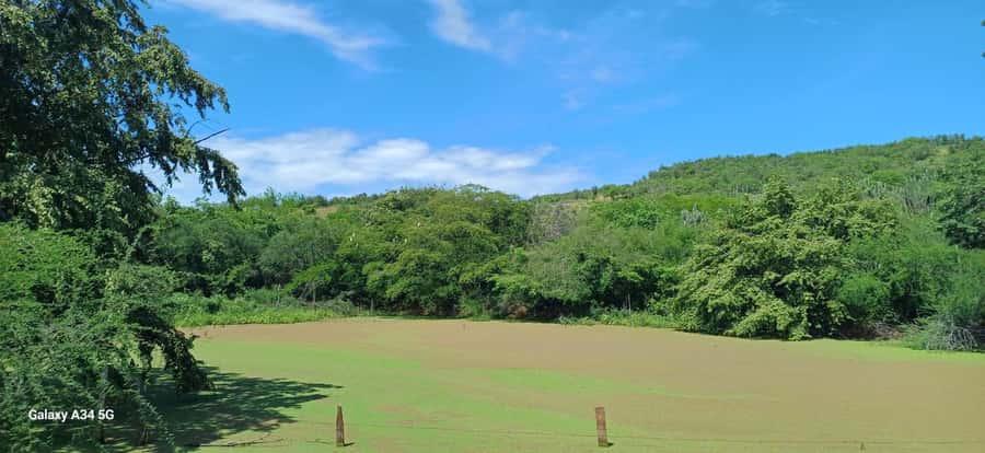 Community and Biodiversity Tour of the Tatacoa Neiva Desert - Valle de los Xilópalos: rock formations, canyons, and community learning