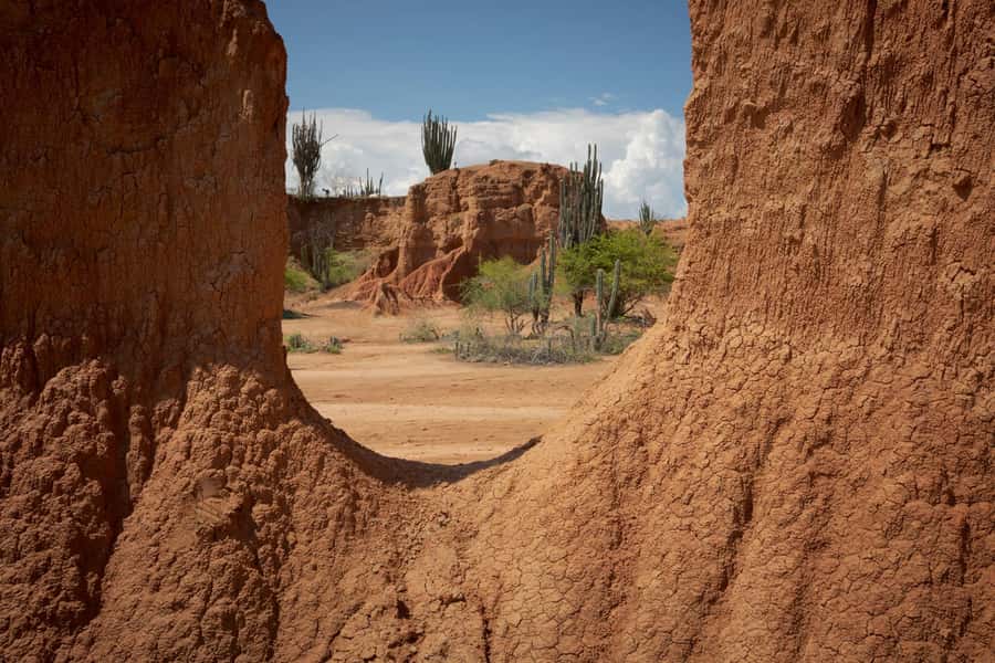 Community tour Biodiversity Latatacoa Desert Villavieja - Along the Magdalena River: where biodiversity shows up fast