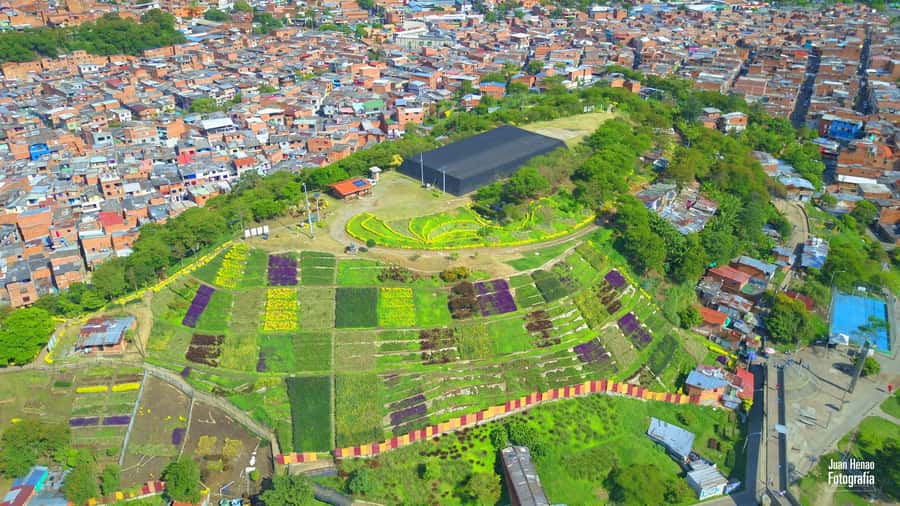 Comuna 4 - Moravia Tour - Key things that make this tour worth your time