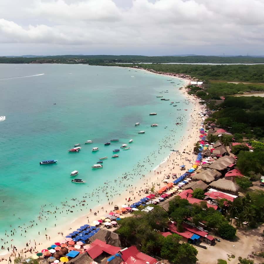 Daytour to Playa Tranquila VIP with Parasols, Lunch by bus! - Timing and Communication: The Most Important Risk Factor