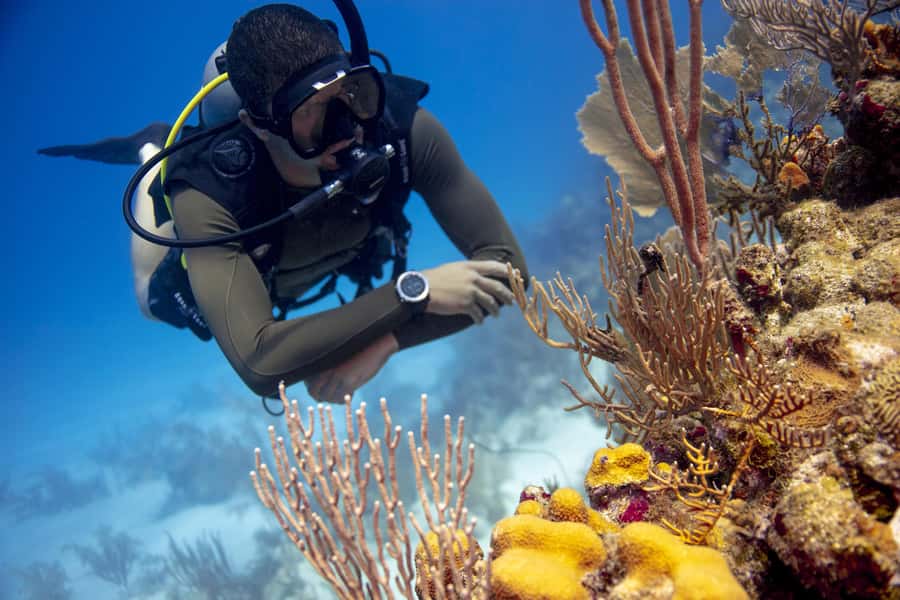 Diving Santa Marta & Tayrona for Certified Divers (2 tanks) - The 2-tank plan: what it usually feels like