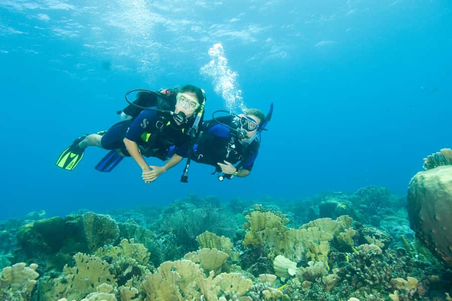 Diving Santa Marta & Tayrona for Certified Divers (2 tanks) - Who should book, and who should skip this day