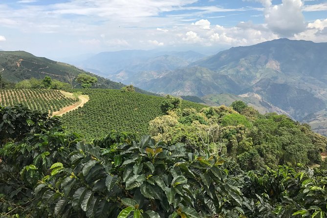 Do it yourself 11 days tour in Colombia (customizable) - Medellín: smart city touring with hills, viewpoints, and night energy