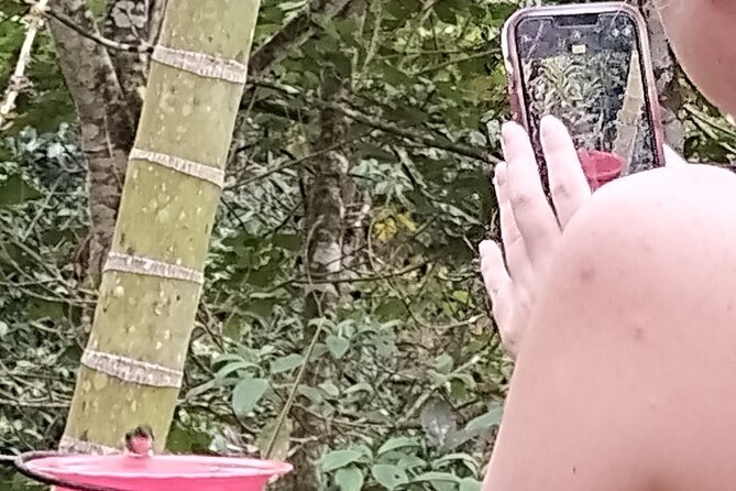 Easy Birdwatching in Cali Colombia (4 Hours) - The Short Farm Stop for Baby Goat Feeding (Quick Fun, Short Time)