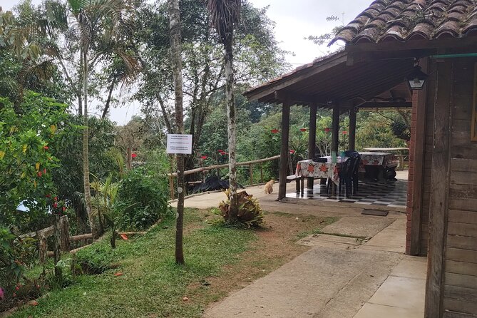 Easy Birdwatching in Cali Colombia (4 Hours) - Price and Value: What $94.99 Gets You