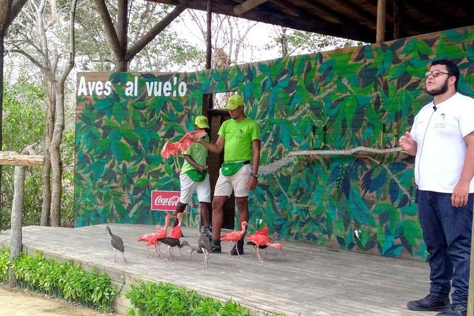 Eco Plan National Aviary and Lunch in Playa Mambo Beach Barú - EcoPlan Aviario Nacional de Colombia, 170 Species Before the Heat