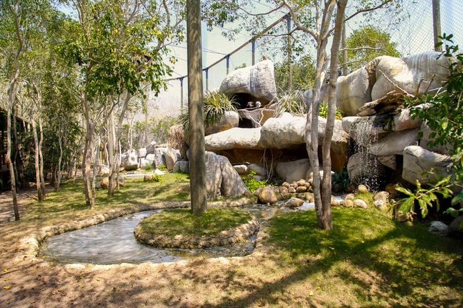 Eco Plan National Aviary and Lunch in Playa Mambo Beach Barú - The Bird Show Part, Timing and What Makes It Worth It