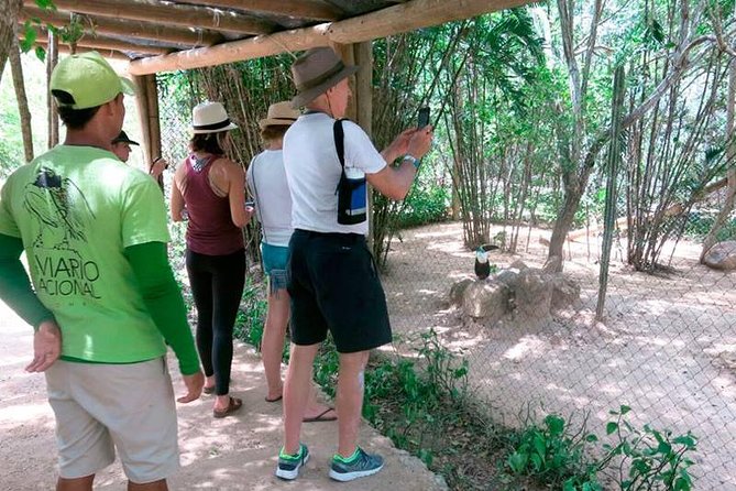 Eco Plan National Aviary and Lunch in Playa Mambo Beach Barú - Snorkeling Gear and Beach Setup, What’s Included and What to Confirm