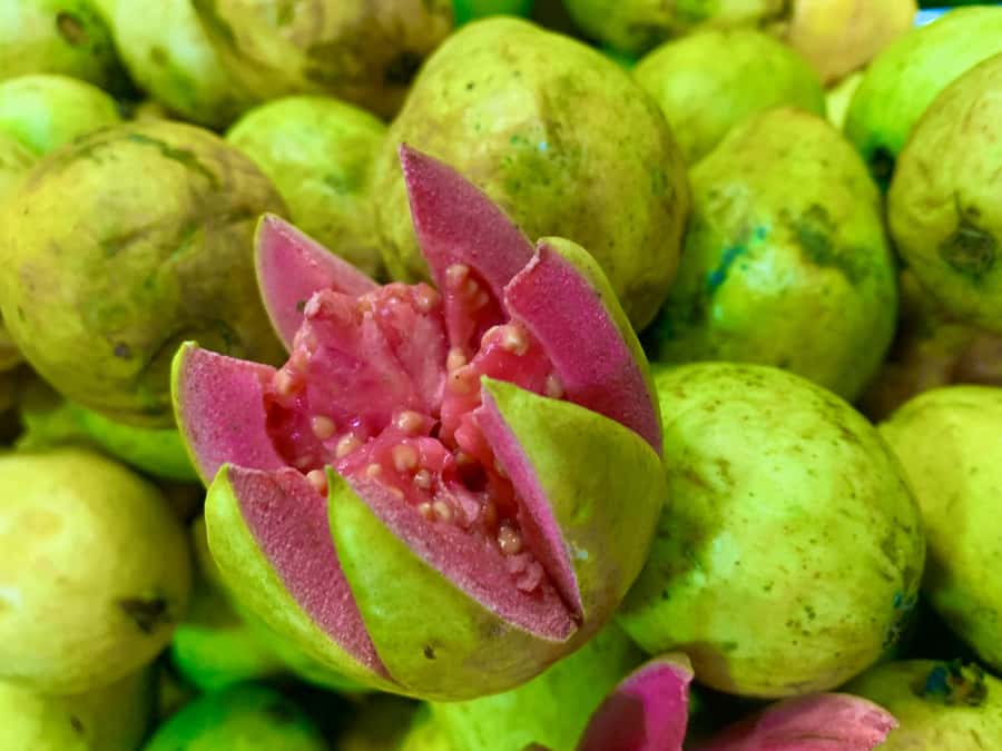 Essential Fruit Experience - Guided walk details: break time, then the long tasting circuit