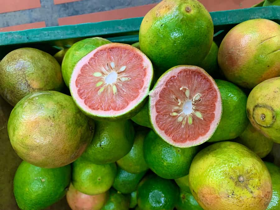 Essential Fruit Experience - The e-book: why it is more than a souvenir