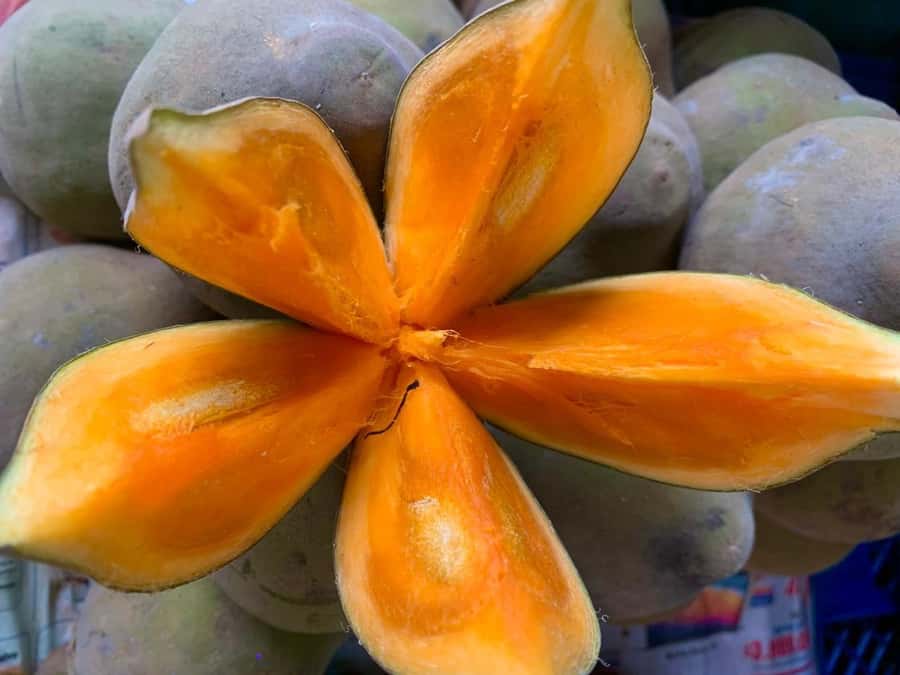Essential Fruit Experience - Timing and schedule: 5:00 AM to 3:00 PM without the stress