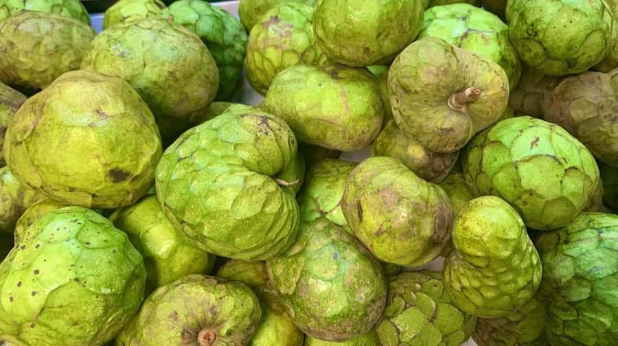 Essential Fruit Experience - Price and value: what $16 USD really gets you