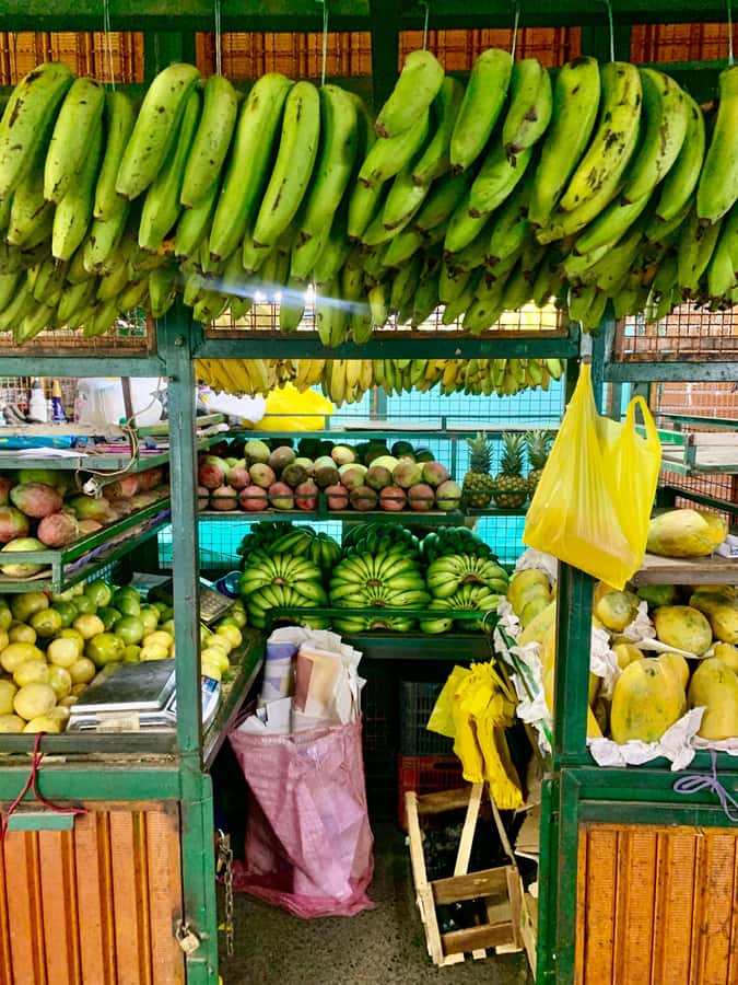 Essential Fruit Experience - Meeting point and how you get oriented fast
