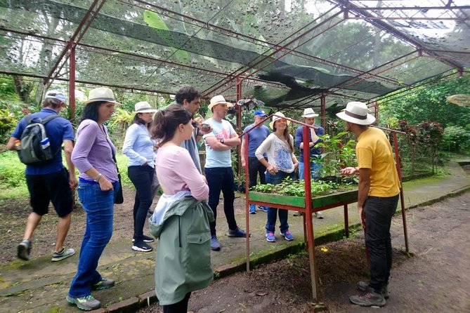 Exclusive Coffee Experience:Tour from Bogotá - Price, Time, and What You Actually Get for $140