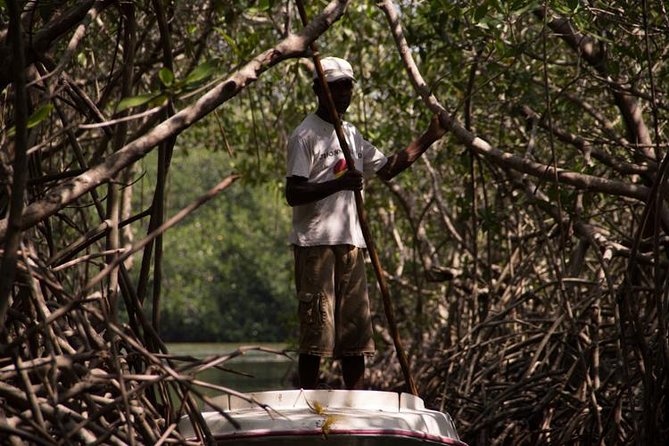 Explore La Boquilla’s Mangrove Tunnels with Local Fishermen - Key highlights to know before you go