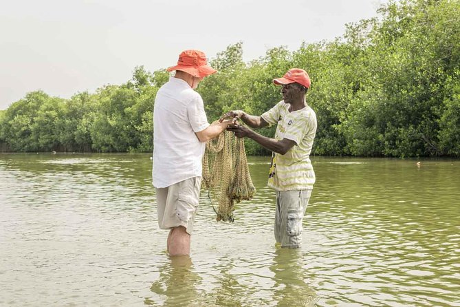 Explore La Boquilla’s Mangrove Tunnels with Local Fishermen - From Centro Histórico to La Boquilla: the ride that sets the tone