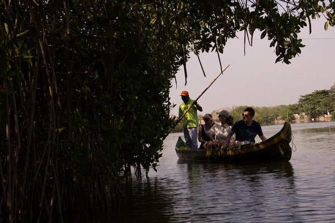 Explore La Boquilla’s Mangrove Tunnels with Local Fishermen - Ciénaga de Juan Polo: native fish and birdlife tied to identity