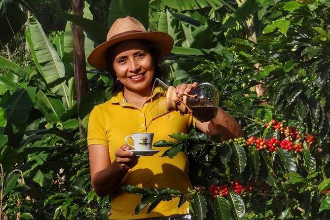Explore the Coffee Process_From Tree to Cup & Fun by Jeep - Key highlights at a glance
