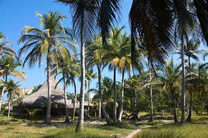 Family Day Trip - Private Boat Charter To The Rosario Islands - Key things to know before you book