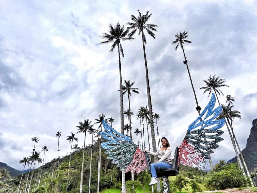 Filandia, Salento and Cocora Valley Private Tour - Key highlights to look for
