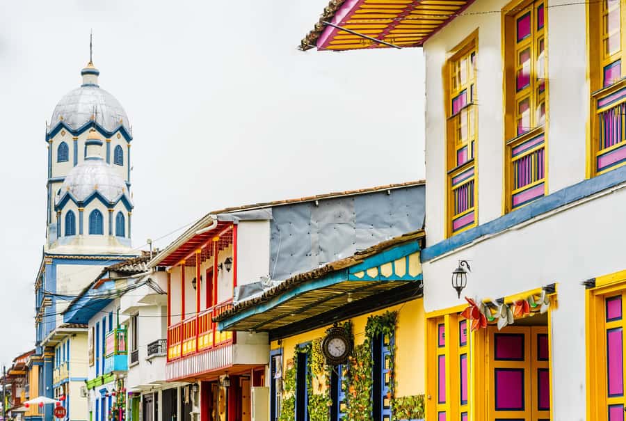 Filandia, Salento and Cocora Valley Private Tour - Private pickup and a 10-hour day that actually feels planned