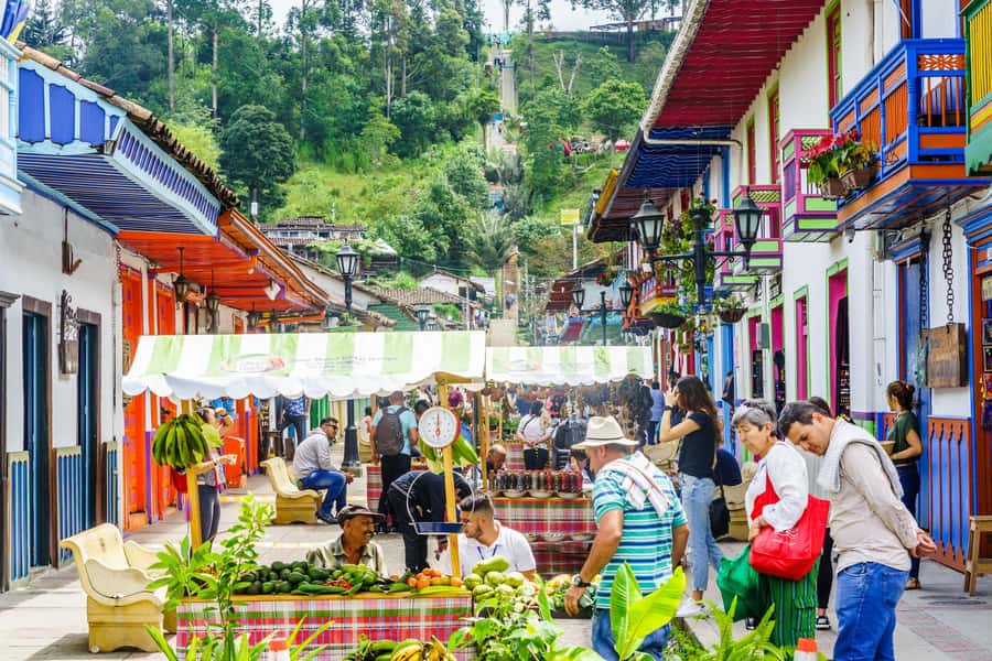 Filandia, Salento and Cocora Valley Private Tour - Price and value at $152 per person, when you compare what’s included