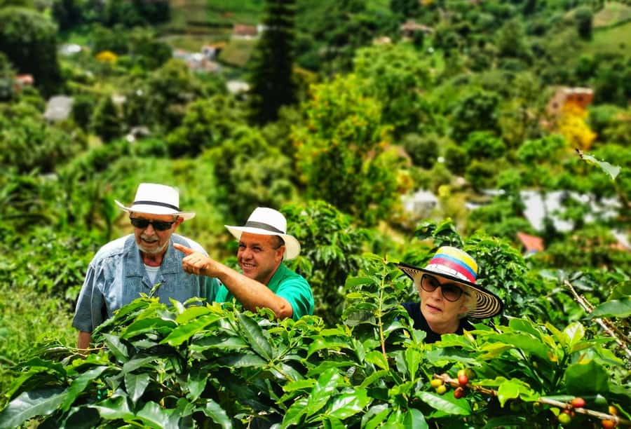 From Bogota: 5 hour guided coffe farm tour - All included - Key points before you go