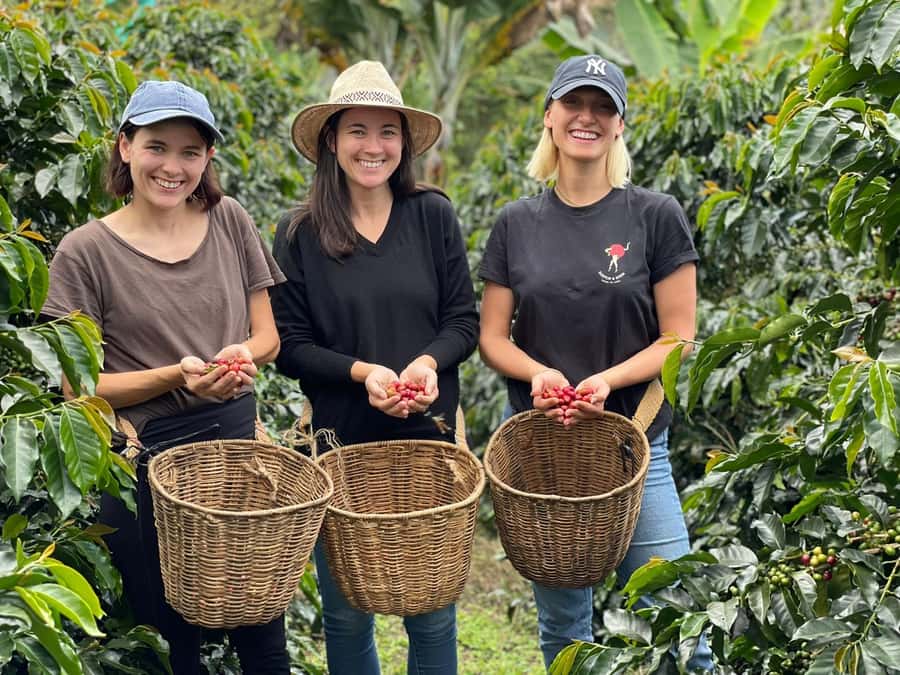 From Bogota: 5 hour guided coffe farm tour - All included - Ubaque breakfast, then meeting the coffee farmers