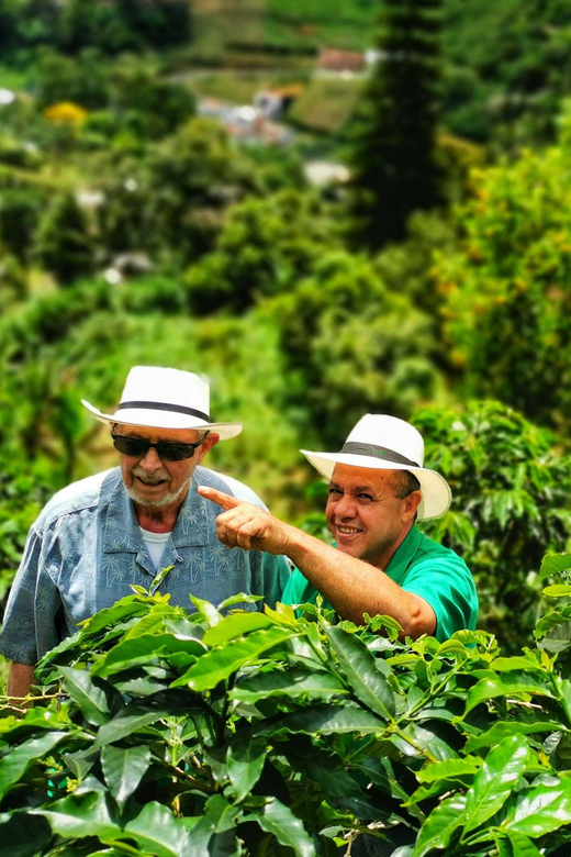 From Bogota: 5 hour guided coffe farm tour - All included - Who should book this coffee farm tour, and who should skip it