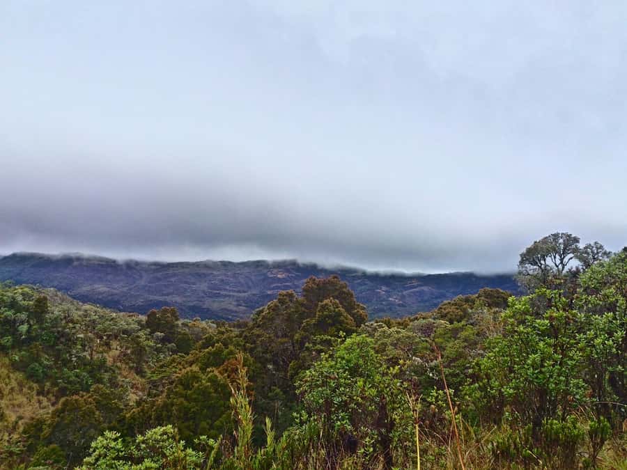 From Bogotá: Chingaza National Park Eco Tour - The hike you’re really signing up for: 3 to 3.5 hours of Andes effort