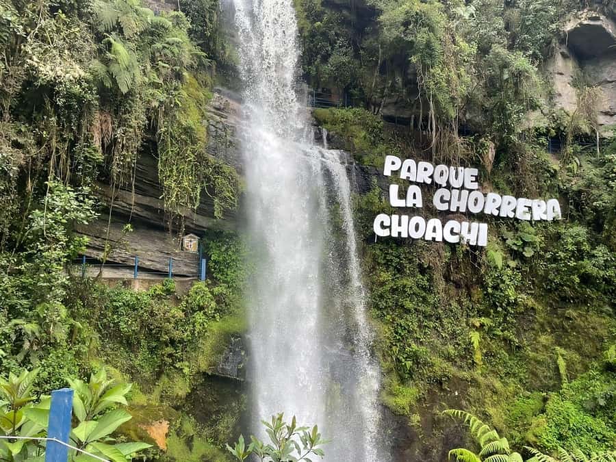From Bogotá: Chingaza National Park Eco Tour - Guides and languages: what the names and roles tell you
