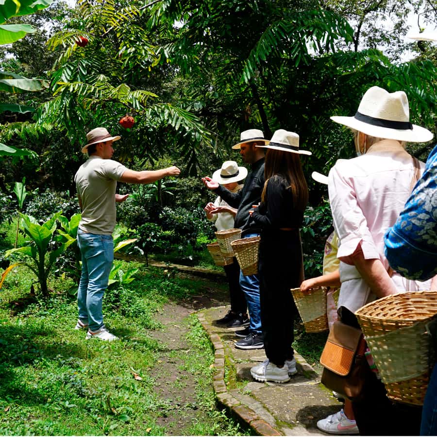 From Bogotá: Coffee Farm and Tequendama Falls Tour - Key points to know before you go